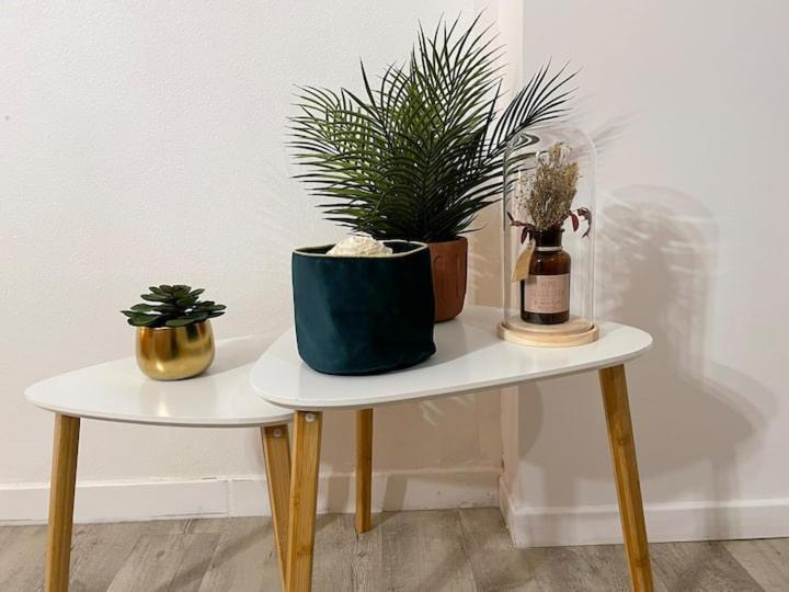 Comme Un Air De Provence A Blois 아파트 외부 사진